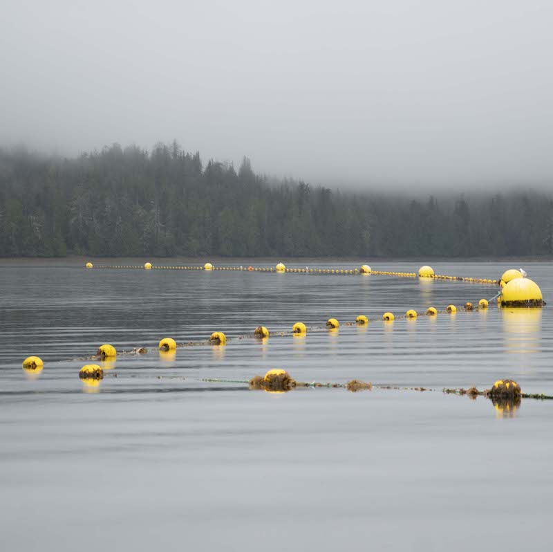 Alaska Mariculture Cluster Alaska Mariculture Cluster